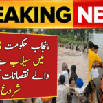 Flood Damage Survey in 28 Districts