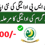8171 Ehsaas Program Payment