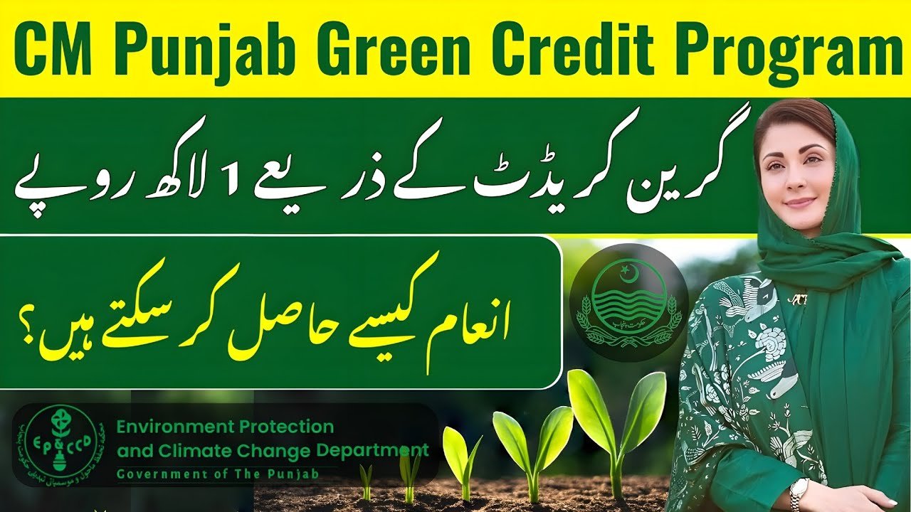 CM Punjab Green Credit Program 2025
