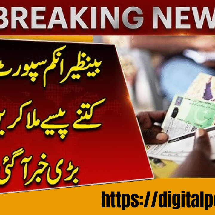 BISP New Payment