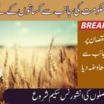 Punjab Crop Insurance Scheme 2025