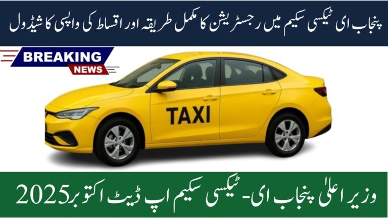 E-Taxi Program 2025 Repayment Plan
