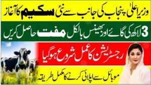 Punjab CM Livestock Card Scheme 2025: Apply Now