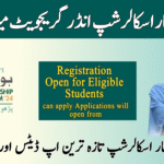 CM Honhaar Scholarship Undergraduate