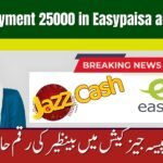 Receive Rs 25000 BISP Payment