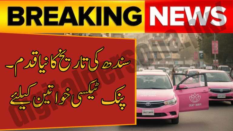 Pink Taxi Scheme for Women