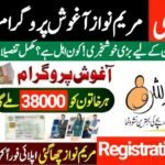 How To Apply For Punjab Aghosh Program