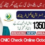 BISP 8171 CNIC Check Online October 2025